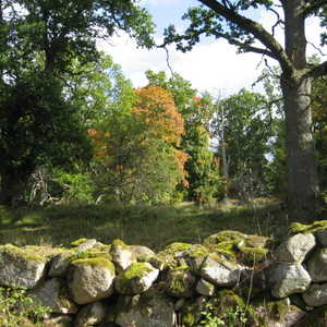 Stenmur på Grimsnäs